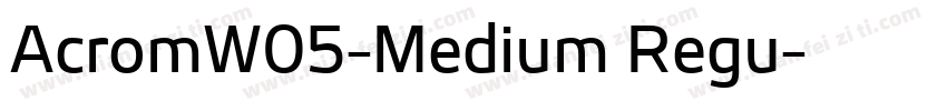 AcromW05-Medium Regu字体转换